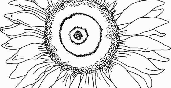 Realistic Sunflower Coloring Page Sunflower Coloring Page for Kindergarten