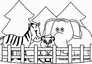 Really Cute Animal Coloring Pages Zoo Coloring Pages