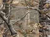 Realtree Camo Wall Murals Camouflage Background Wallpaper Wallpapersafari