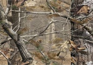 Realtree Camo Wall Murals Camouflage Background Wallpaper Wallpapersafari