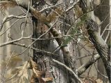 Realtree Camo Wall Murals Realtree Wallpaper I Love Camo In 2019 Pinterest