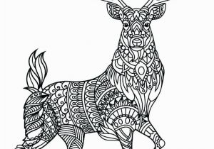 Reindeer Christmas Coloring Pages Animal Mandala Coloring Pages