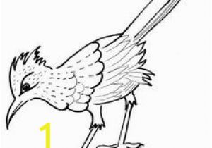 Road Runner Coloring Page 7 Gambar Roadrunner Coloring Sheets Terbaik