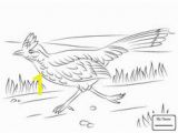 Road Runner Coloring Page 7 Gambar Roadrunner Coloring Sheets Terbaik