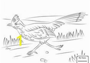 Road Runner Coloring Page 7 Gambar Roadrunner Coloring Sheets Terbaik