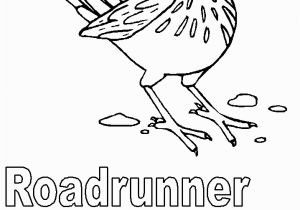 Road Runner Coloring Page Free State Symbols Coloring Pages Download Free Clip Art