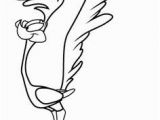 Roadrunner Coloring Pages Printable 8508 Best White Wizard Images