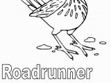 Roadrunner Coloring Pages Printable Free State Symbols Coloring Pages Download Free Clip Art