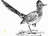 Roadrunner Coloring Pages Printable Texas Symbols