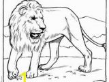 Roaring Lion Coloring Page 25 Best Lion Coloring Pages Images