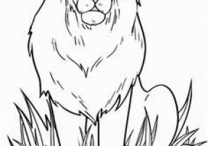 Roaring Lion Coloring Page 25 Best Lion Coloring Pages Images