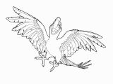 Robinson Crusoe Coloring Pages Robinson Crusoe Nwave