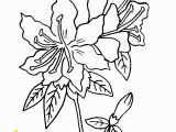 Rose Bouquet Coloring Pages Rhododendron Flower Coloring Page Lots Of Flower Coloring