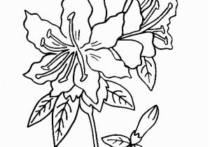 Rose Bouquet Coloring Pages Rhododendron Flower Coloring Page Lots Of Flower Coloring