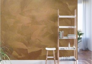 Rose Gold Wall Mural Metallic Wall Paint Gold for Od Walls Rose Spray – Dotsafo