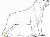 Rottweiler Puppies Coloring Pages Beautiful Rottweiler Puppies Coloring Pages Printable