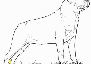 Rottweiler Puppies Coloring Pages Beautiful Rottweiler Puppies Coloring Pages Printable