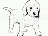 Rottweiler Puppies Coloring Pages Big Rottweiler Puppies Coloring Pages Free Goldendoodle Color