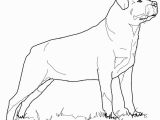 Rottweiler Puppies Coloring Pages Rottweiler Animal Coloring Pages Dog Breed Coloring Pages Special