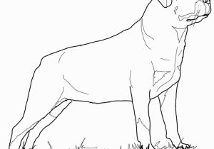 Rottweiler Puppies Coloring Pages Rottweiler Animal Coloring Pages Dog Breed Coloring Pages Special