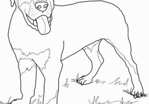 Rottweiler Puppies Coloring Pages Rottweiler Puppy Coloring Page