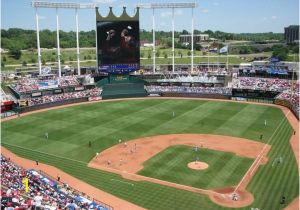 Royals Stadium Wall Mural 3015 Best Ballparks Images In 2020