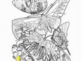 Ryu Coloring Pages 43 Best Bhl Coloring Pages Images On Pinterest