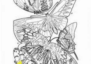 Ryu Coloring Pages 43 Best Bhl Coloring Pages Images On Pinterest