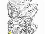 Ryu Coloring Pages 43 Best Bhl Coloring Pages Images On Pinterest