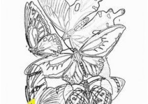 Ryu Coloring Pages 43 Best Bhl Coloring Pages Images On Pinterest