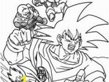 Ryu Coloring Pages 9 Best Dragonball Coloring Images On Pinterest