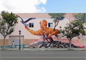 San Diego Wall Murals Fentan Magee San Diego 2015 Street Art and 3d Art