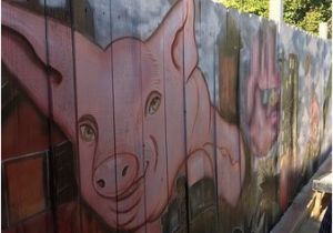 San Diego Wall Murals Photo4 Picture Of Carnitas Snack Shack San Diego Tripadvisor