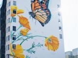 San Francisco Wall Mural Pin by Ceri Thomas On Beautiful Street Art In 2020