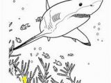 San Jose Sharks Coloring Pages 73 Best Shark Coloring Pages Images On Pinterest