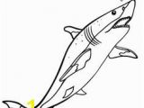 San Jose Sharks Coloring Pages 73 Best Shark Coloring Pages Images On Pinterest