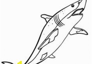 San Jose Sharks Coloring Pages 73 Best Shark Coloring Pages Images On Pinterest