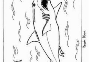 San Jose Sharks Coloring Pages 73 Best Shark Coloring Pages Images On Pinterest