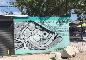 Scarface Mural Photo1 Picture Of Robbie S Of islamorada islamorada Tripadvisor