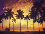 Scarface Sunset Wall Mural Scarface Wallpaper Palm Trees Wallpapersafari