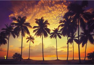 Scarface Sunset Wall Mural Scarface Wallpaper Palm Trees Wallpapersafari