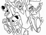 Scooby Doo Valentines Coloring Pages 87 Best Scooby Doo Coloring Pages Images