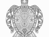 Sea Lion Coloring Page Drawing Zentangle Turtle for Coloring Page Shirt Design