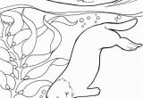 Sea Lion Coloring Page Sea Free Clipart 74