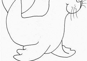 Sea Lion Coloring Page Seal Coloring Page Free Seal Coloring Pages