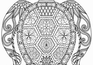 Sea Turtle Coloring Pages for Adults 20 Gorgeous Free Printable Adult Coloring Pages Page 3