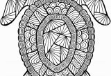 Sea Turtle Coloring Pages for Adults Detailed Sea Turtle Advanced Coloring Page