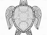 Sea Turtle Coloring Pages for Adults Hand Drawn Sea Turtle for Adult Coloring Pages Stock