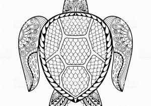 Sea Turtle Coloring Pages for Adults Hand Drawn Sea Turtle for Adult Coloring Pages Stock