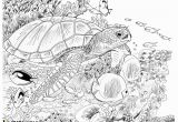 Sea Turtle Coloring Pages for Adults Sea Turtle Colored Pencil Tutorial Lachri Fine Art